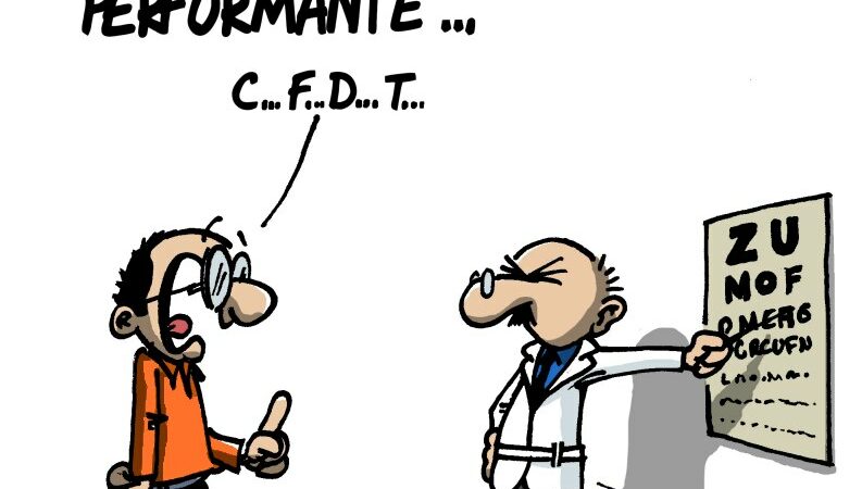 Élections de vos Délégués IPECA